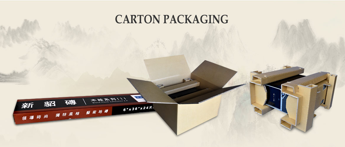 CARTON PACKAGING